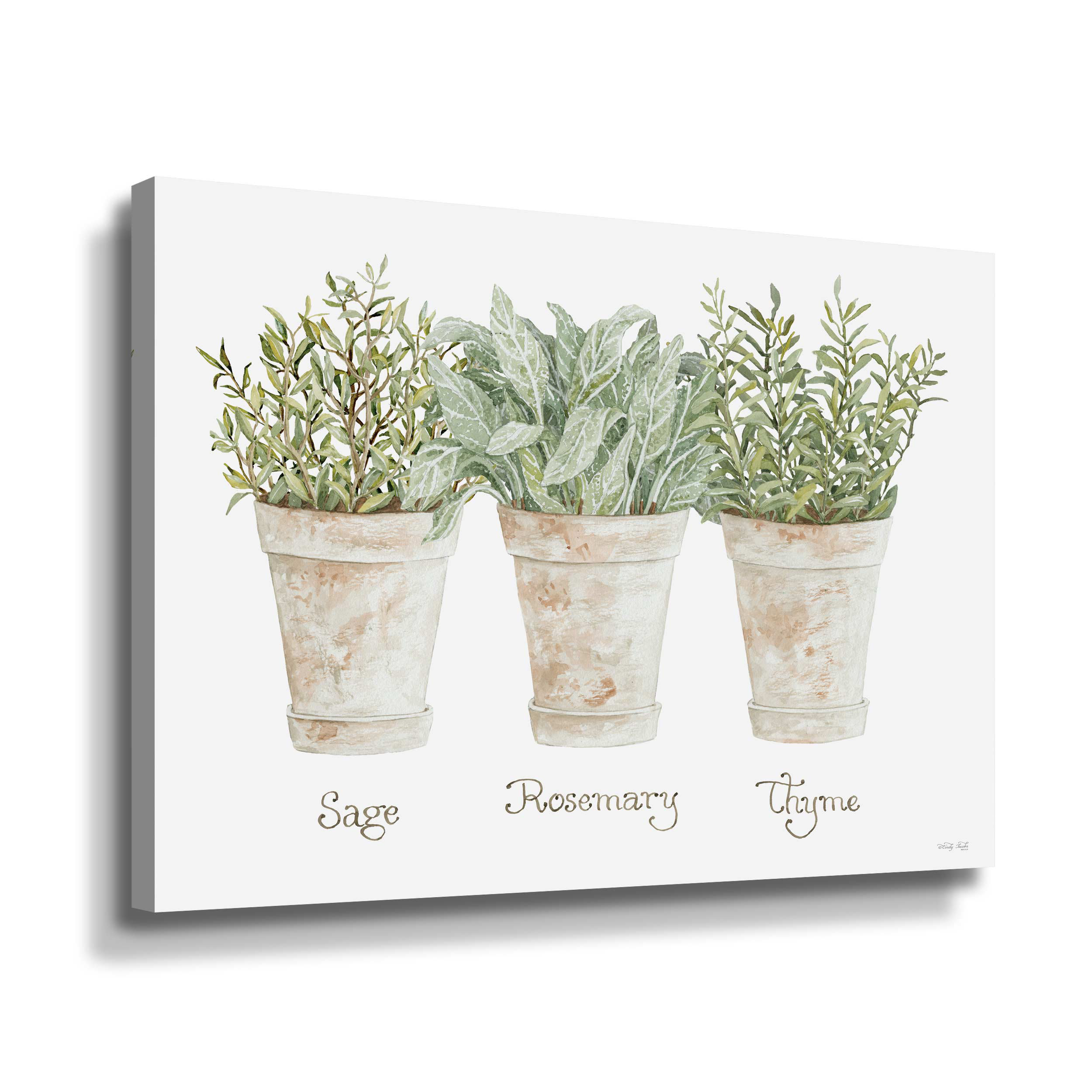 Laurel Foundry Modern Farmhouse® Herb Trio Graphic Art on Canvas